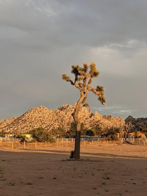 Chasing The Moon: Expansive Tub Views Near Pappy'S Villa Pioneertown Exterior photo