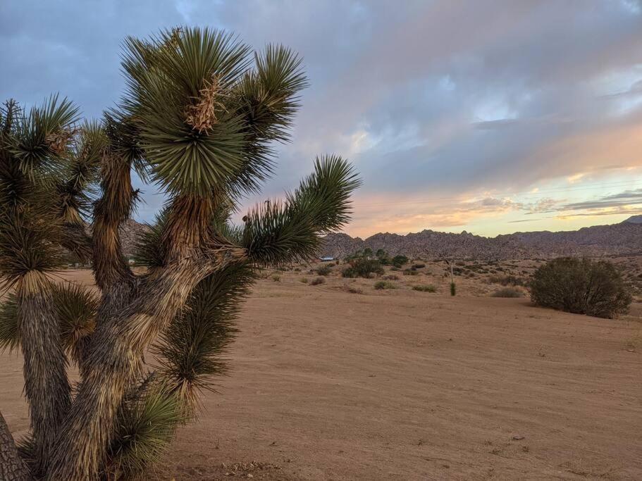 Chasing The Moon: Expansive Tub Views Near Pappy'S Villa Pioneertown Exterior photo